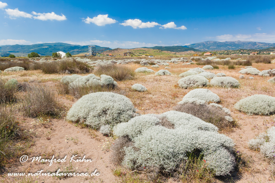 Lesbos (Griechenland)_0060