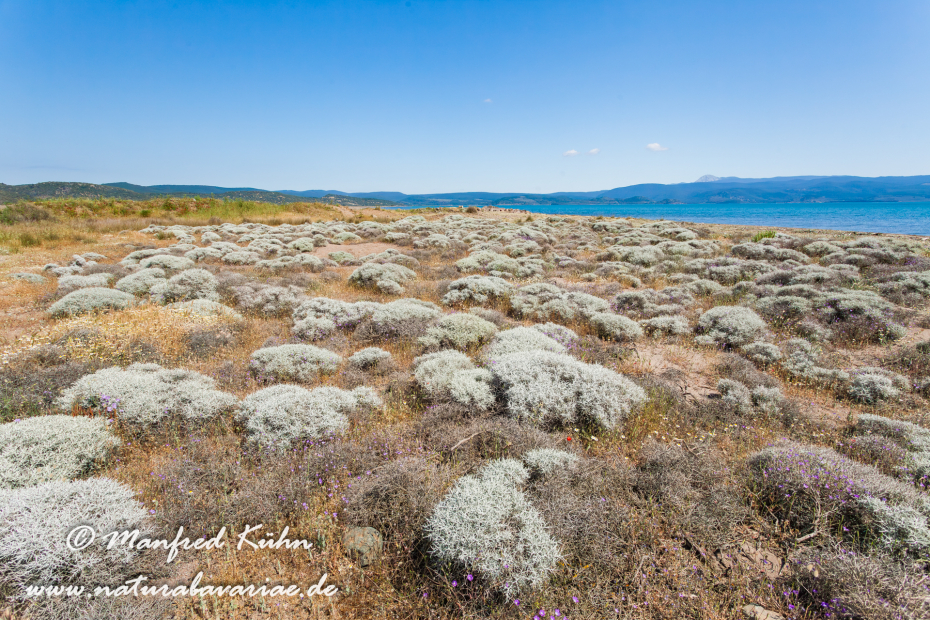 Lesbos (Griechenland)_0061