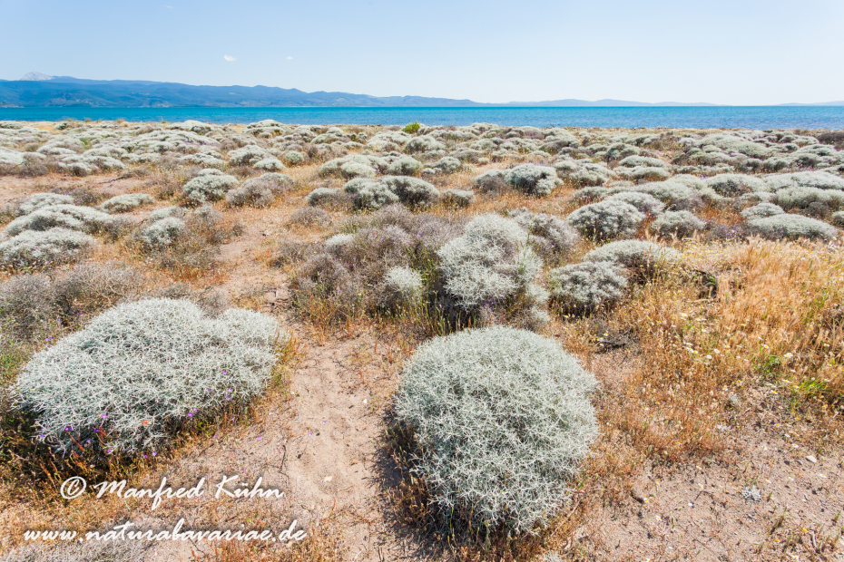 Lesbos (Griechenland)_0063
