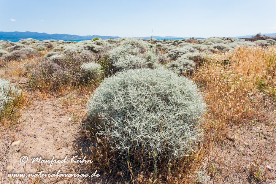 Lesbos (Griechenland)_0064