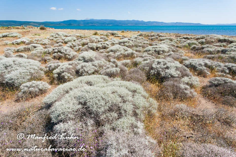 Lesbos (Griechenland)_0065