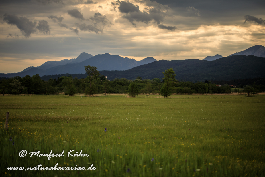 Murnauer Moos (BAY_LKR_GAP)_0030