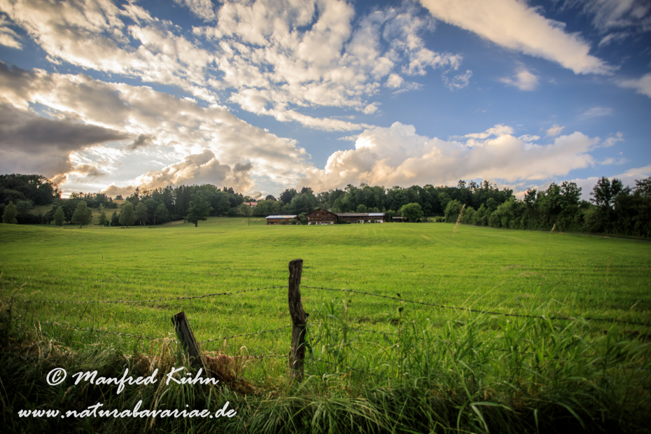 Murnauer Moos (BAY_LKR_GAP)_0035