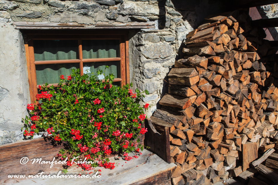 Gran Paradiso Nat-Park (IT_Aosta_Valnontey)_0022