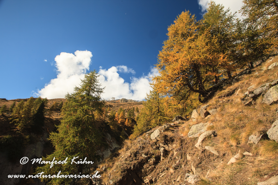 Gran Paradiso Nat-Park (IT_Aosta_Valnontey)_0028