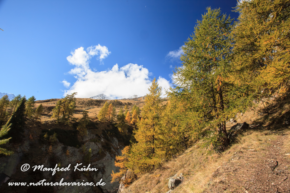 Gran Paradiso Nat-Park (IT_Aosta_Valnontey)_0029