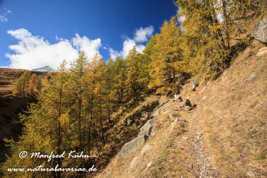 Gran Paradiso Nat-Park (IT_Aosta_Valnontey)_0030