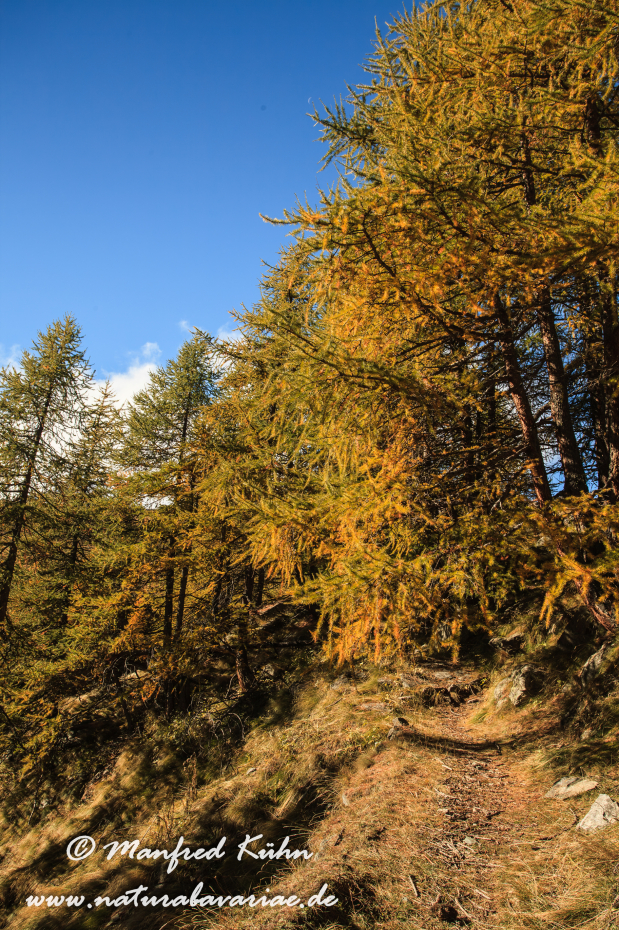 Gran Paradiso Nat-Park (IT_Aosta_Valnontey)_0031