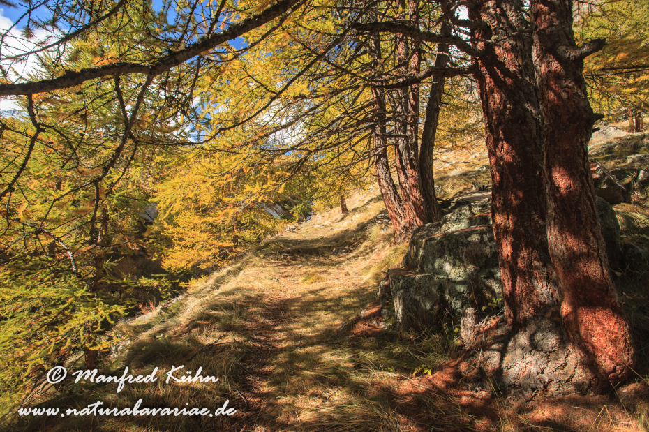 Gran Paradiso Nat-Park (IT_Aosta_Valnontey)_0032