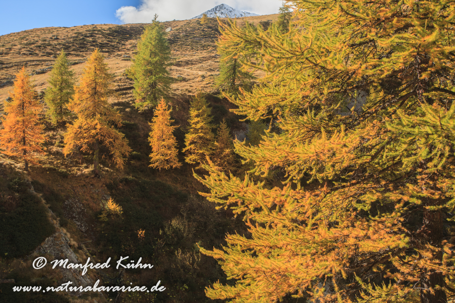Gran Paradiso Nat-Park (IT_Aosta_Valnontey)_0033