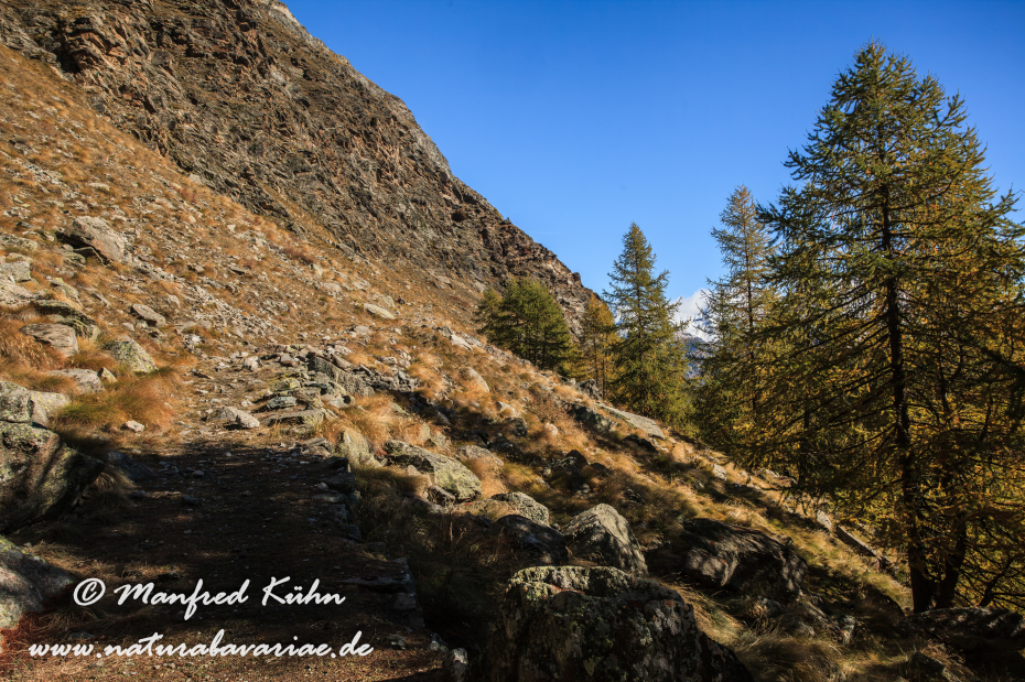Gran Paradiso Nat-Park (IT_Aosta_Valnontey)_0034
