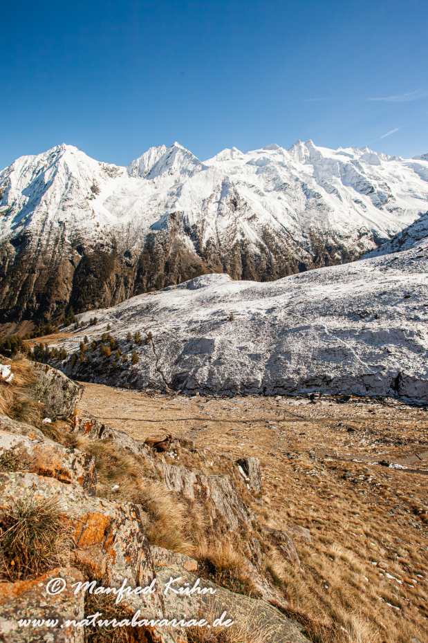 Gran Paradiso Nat-Park (IT_Aosta_Valnontey)_0035