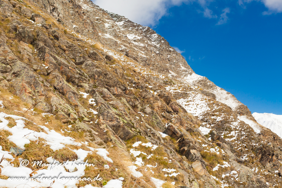 Gran Paradiso Nat-Park (IT_Aosta_Valnontey)_0044