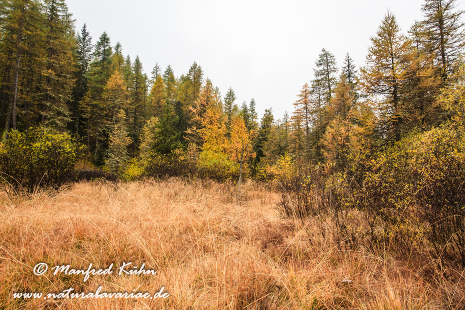 Gran Paradiso Nat-Park (IT_Aosta_Valnontey)_0103