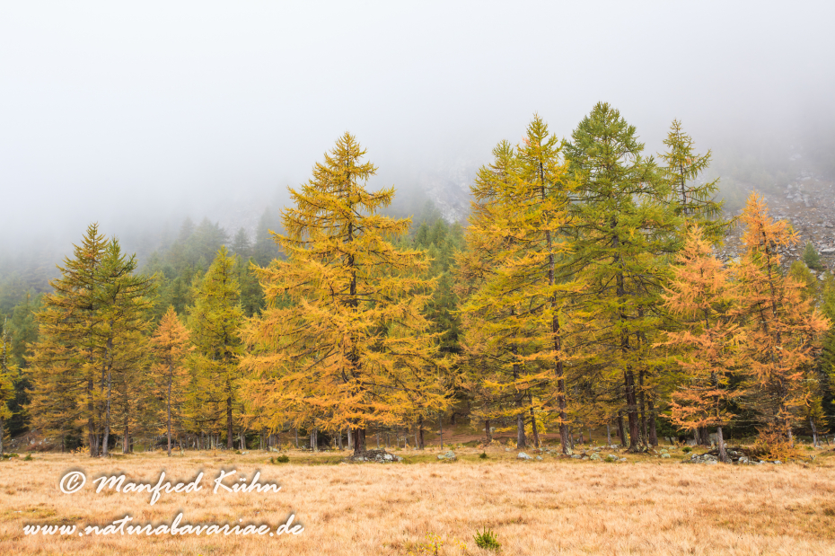 Gran Paradiso Nat-Park (IT_Aosta_Valnontey)_0106