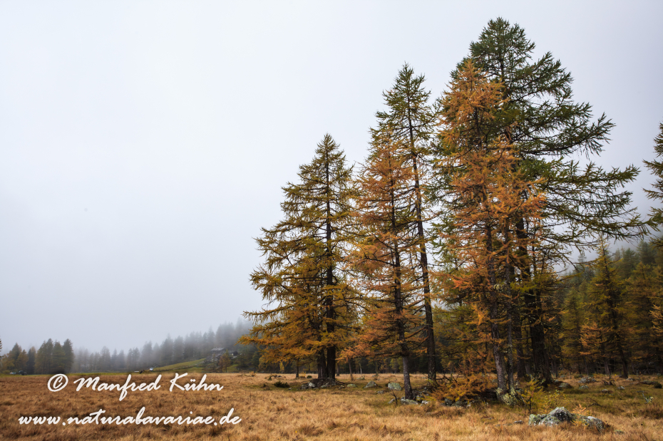 Gran Paradiso Nat-Park (IT_Aosta_Valnontey)_0109