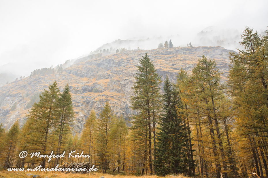 Gran Paradiso Nat-Park (IT_Aosta_Valnontey)_0116