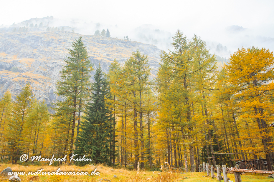 Gran Paradiso Nat-Park (IT_Aosta_Valnontey)_0117