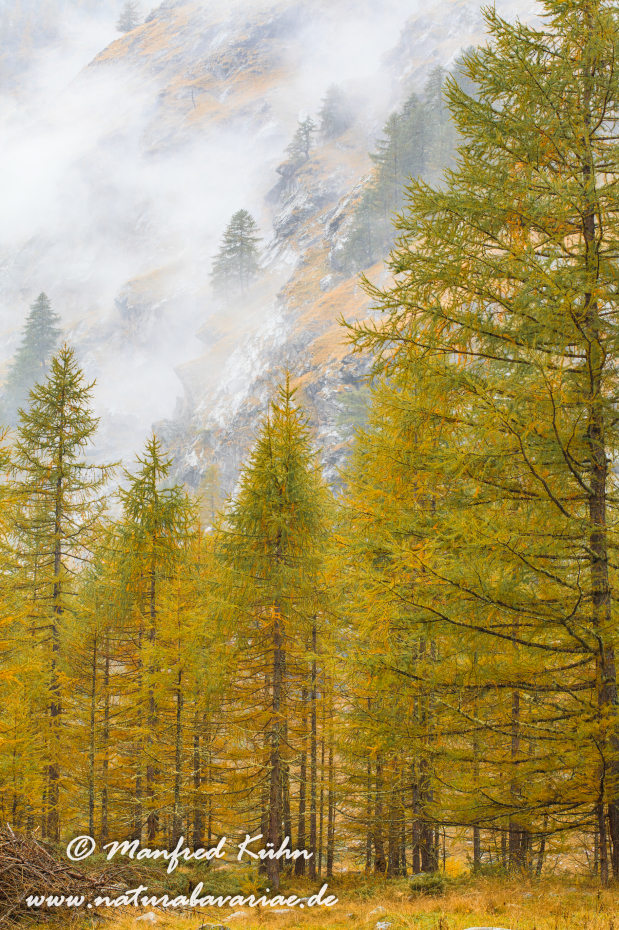 Gran Paradiso Nat-Park (IT_Aosta_Valnontey)_0120