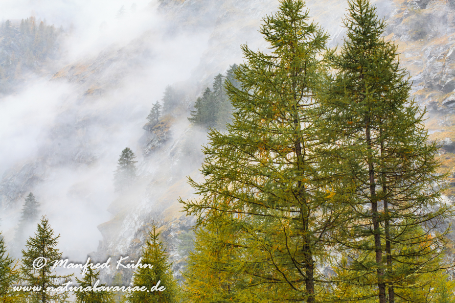 Gran Paradiso Nat-Park (IT_Aosta_Valnontey)_0122