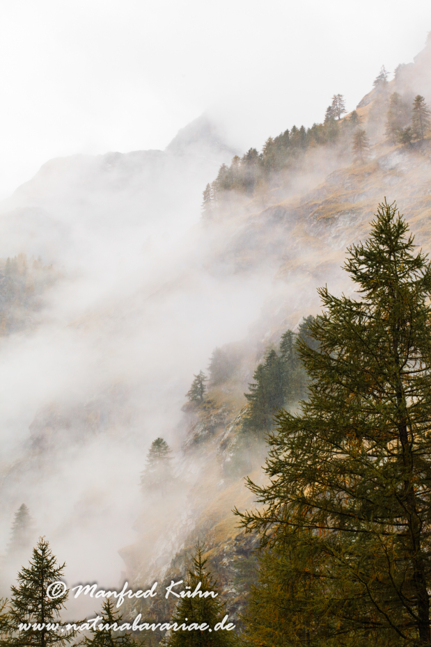 Gran Paradiso Nat-Park (IT_Aosta_Valnontey)_0123