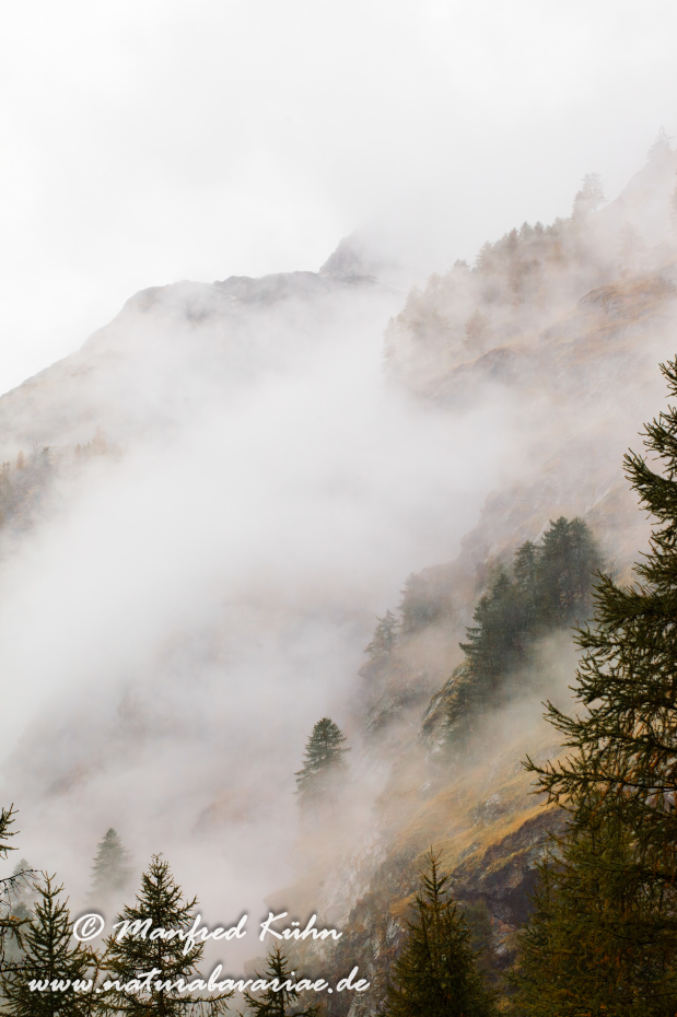 Gran Paradiso Nat-Park (IT_Aosta_Valnontey)_0124