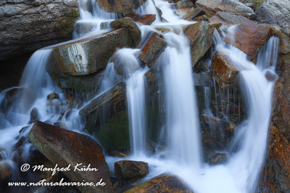 Gran Paradiso Nat-Park (IT_Aosta_Valnontey)_0149