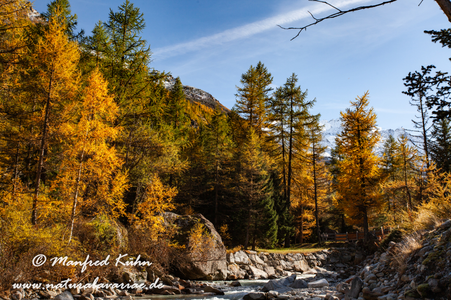 Gran Paradiso Nat-Park (IT_Aosta_Valnontey)_0153