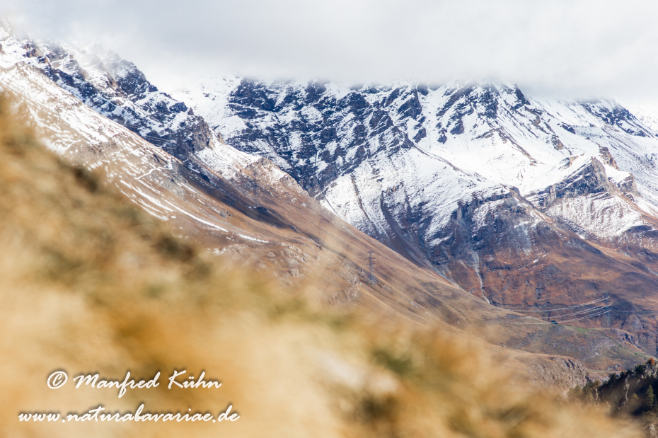 Gran Paradiso Nat-Park (IT_Aosta_Valnontey)_0177