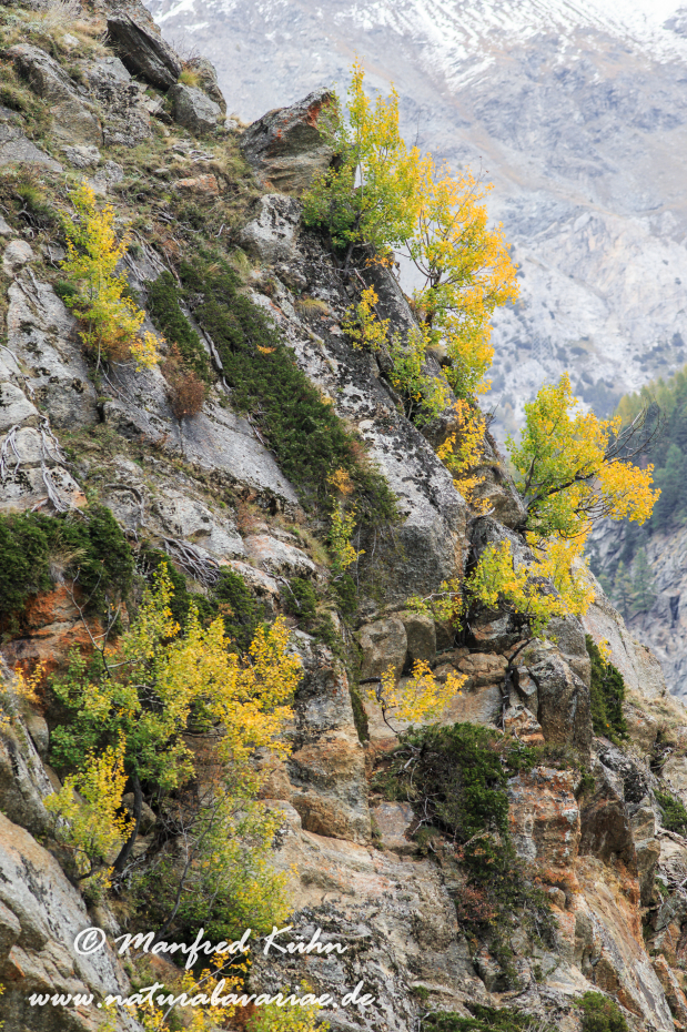 Gran Paradiso Nat-Park (IT_Aosta_Valnontey)_0184