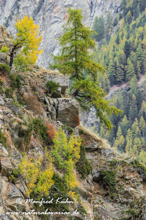 Gran Paradiso Nat-Park (IT_Aosta_Valnontey)_0189