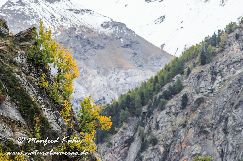 Gran Paradiso Nat-Park (IT_Aosta_Valnontey)_0190