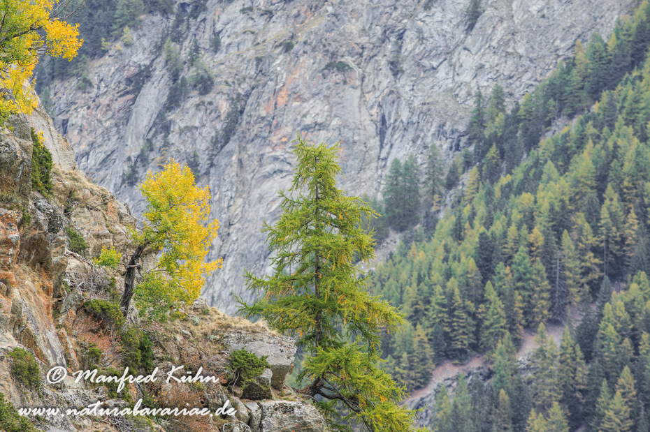 Gran Paradiso Nat-Park (IT_Aosta_Valnontey)_0192