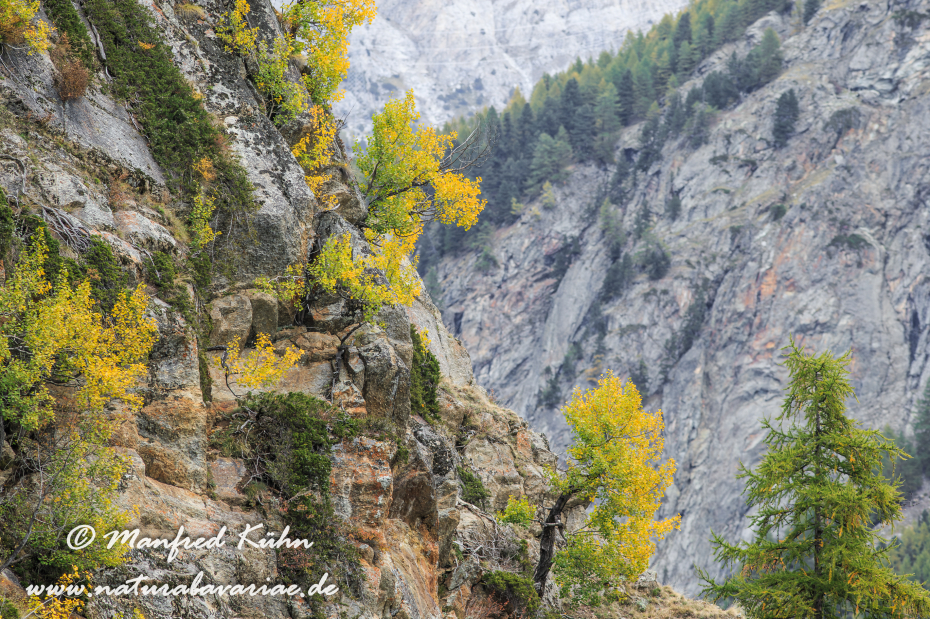 Gran Paradiso Nat-Park (IT_Aosta_Valnontey)_0193