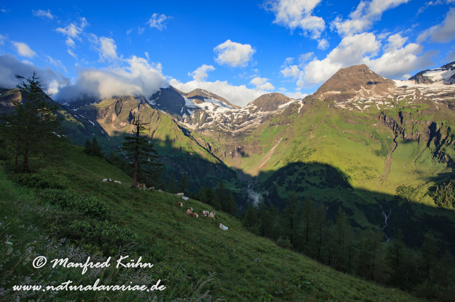 Großglockner (A_Tirol_Kärnten)_0005