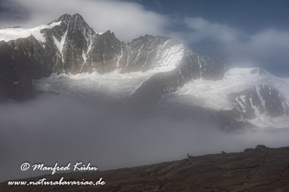 Großglockner (A_Tirol_Kärnten)_0088