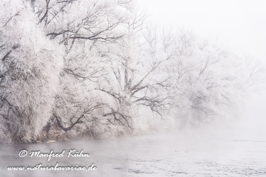 Amper_Winter (BAY_LKR_DAH)_0120