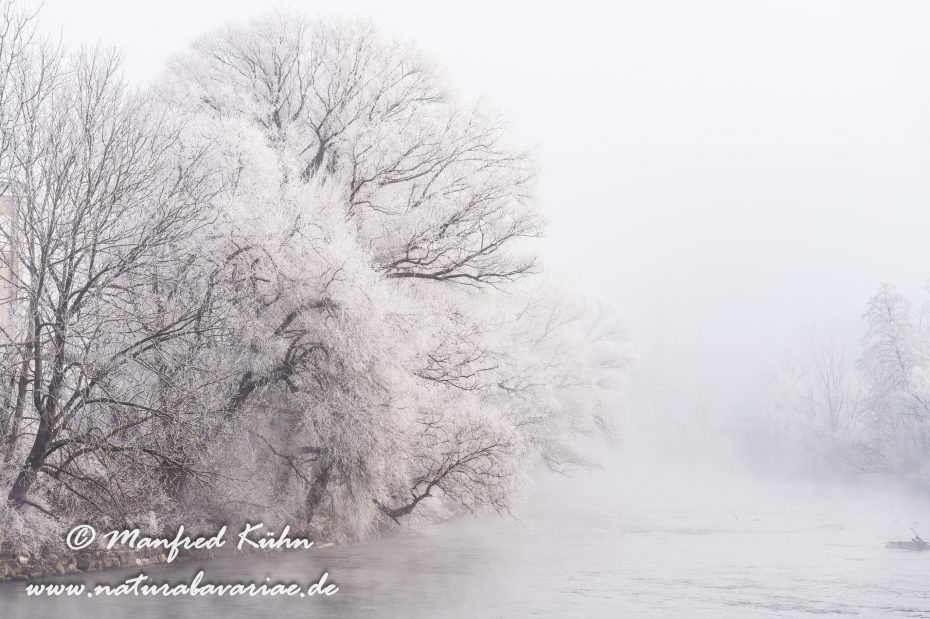 Amper_Winter (BAY_LKR_DAH)_0126