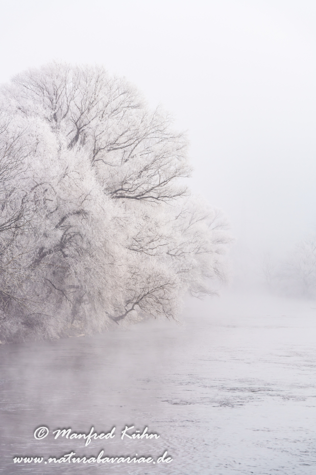 Amper_Winter (BAY_LKR_DAH)_0127