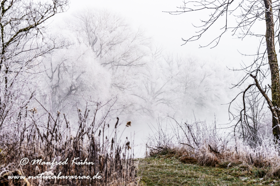 Amper_Winter (BAY_LKR_DAH)_0128