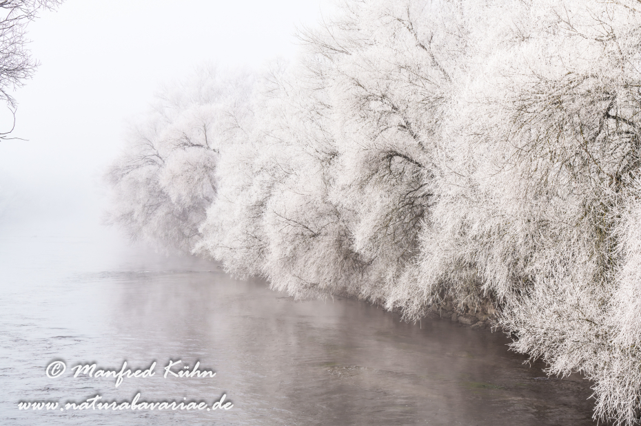 Amper_Winter (BAY_LKR_DAH)_0130