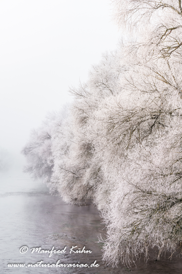 Amper_Winter (BAY_LKR_DAH)_0131