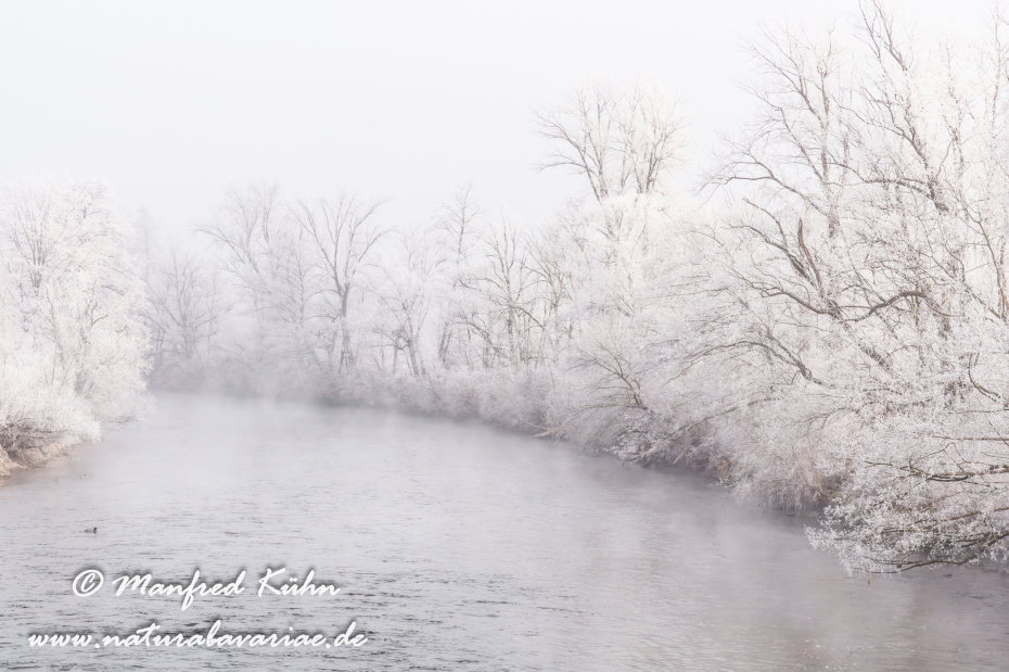Amper_Winter (BAY_LKR_DAH)_0132