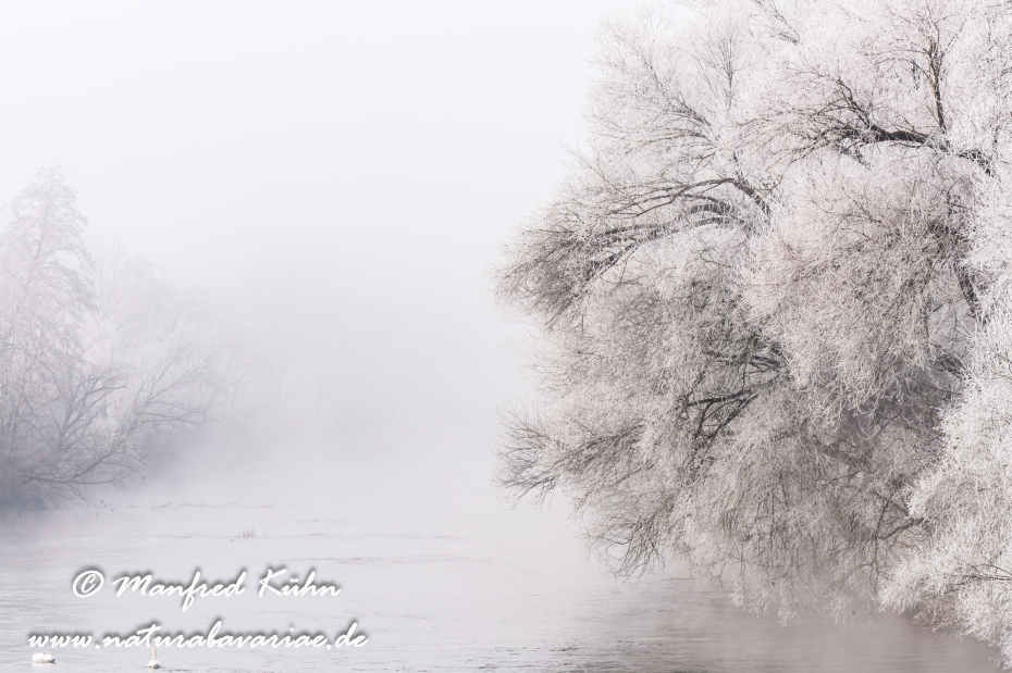 Amper_Winter (BAY_LKR_DAH)_0139