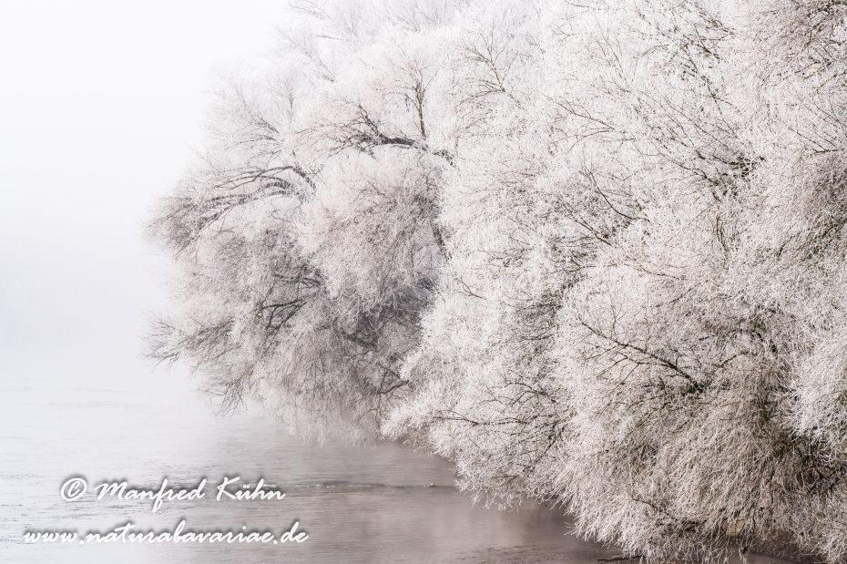 Amper_Winter (BAY_LKR_DAH)_0140