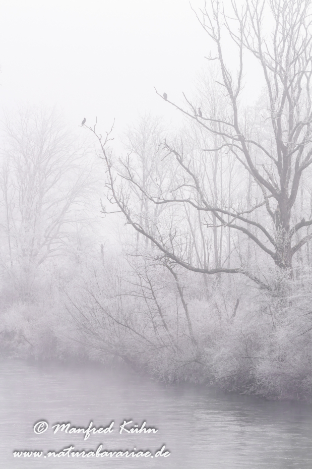 Amper_Winter (BAY_LKR_DAH)_0143