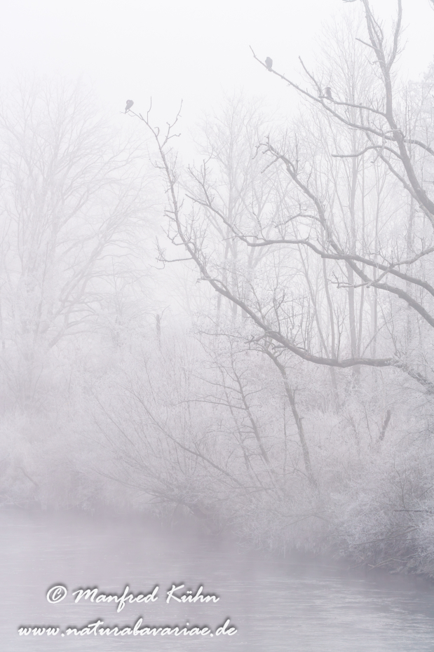 Amper_Winter (BAY_LKR_DAH)_0145