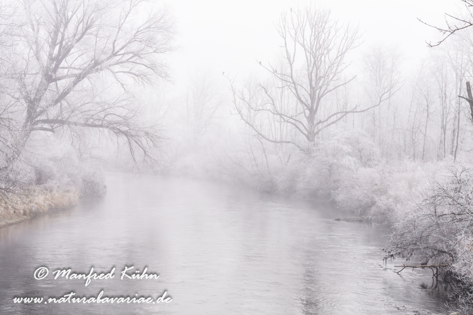 Amper_Winter (BAY_LKR_DAH)_0148