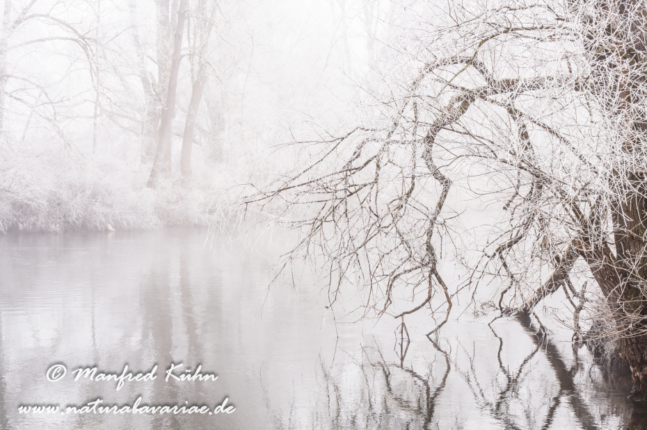 Amper_Winter (BAY_LKR_DAH)_0150