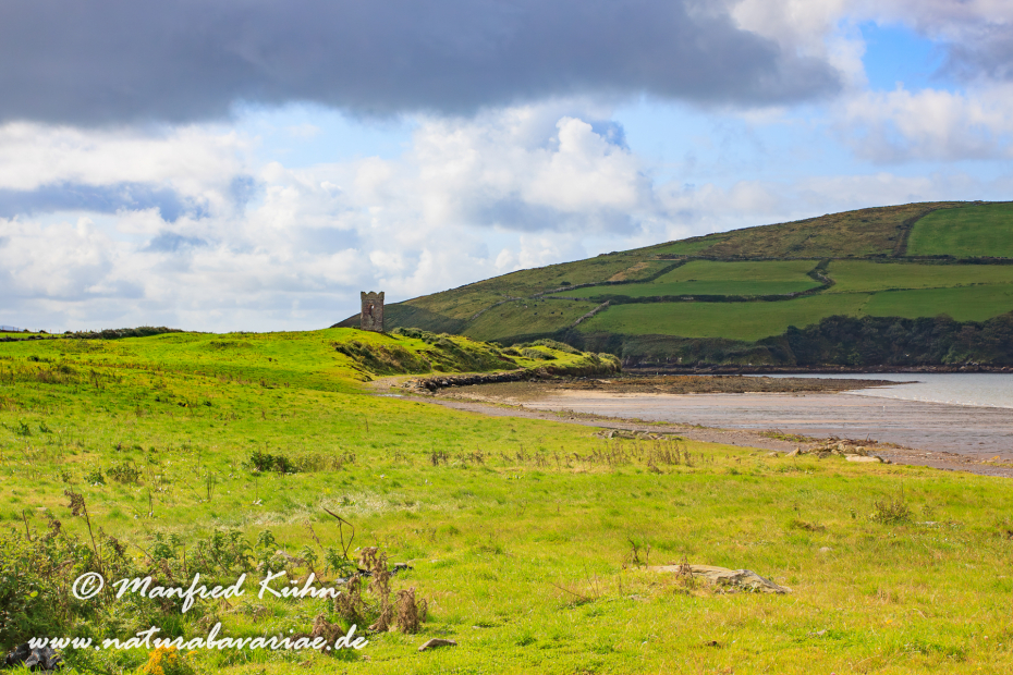 Dingle_Halbinsel (Irland)_0009